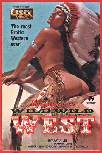The Wild, Wild West poster