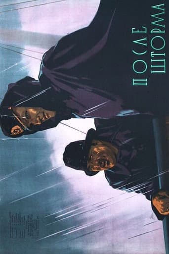 After The Storm poster