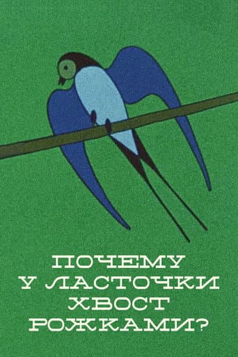 Why the Swallow's Tail Is Double? poster
