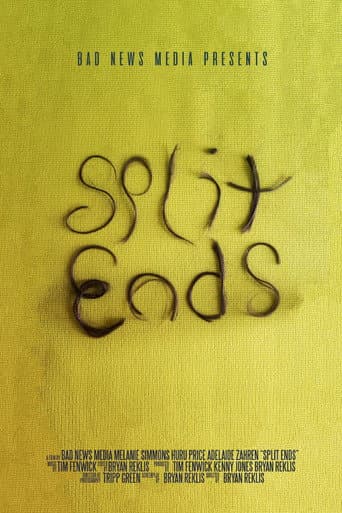 Split Ends poster
