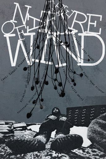 The Nature of Wind poster