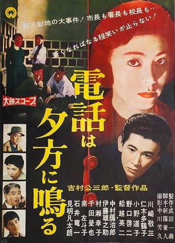 The Telephone Rings in the Evening poster