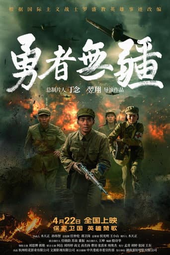 Brave Without Boundaries poster