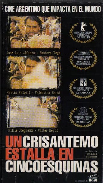 A Crysanthemum Bursts in Cincoesquinas poster