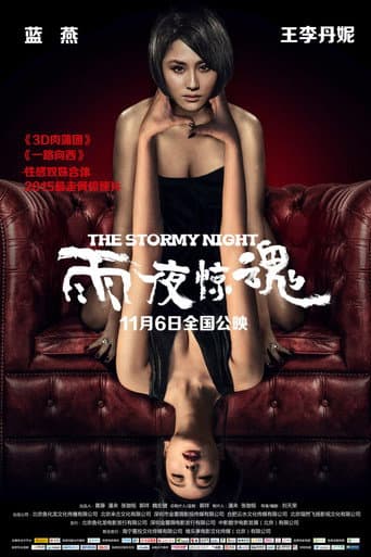 The Stormy Night poster