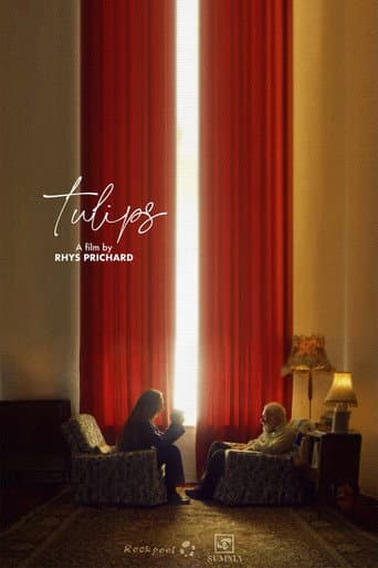 Tulips poster