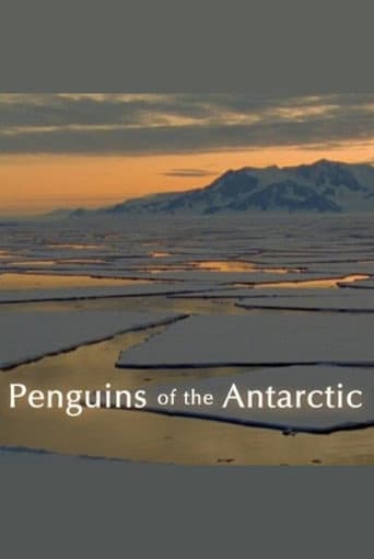 Penguins of the Antarctic poster