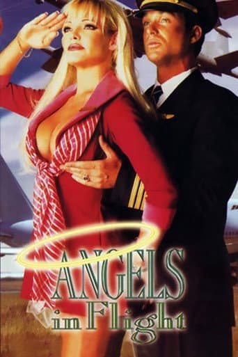 Angels in Flight poster