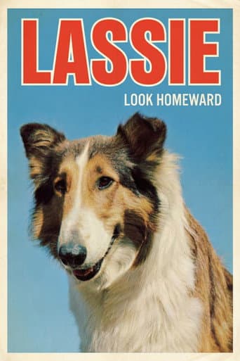 Look Homeward poster