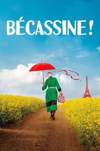 Bécassine ! poster