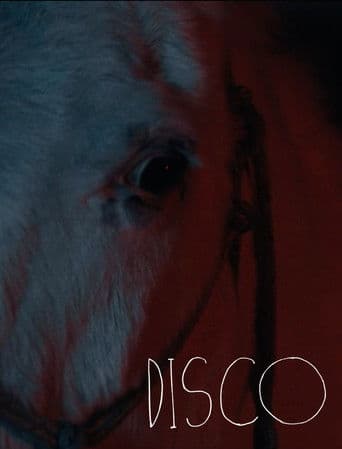 Disco poster