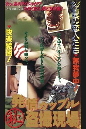 Horny Couple: Secret Voyeurism poster