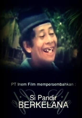 Si Pandir Berkelana poster