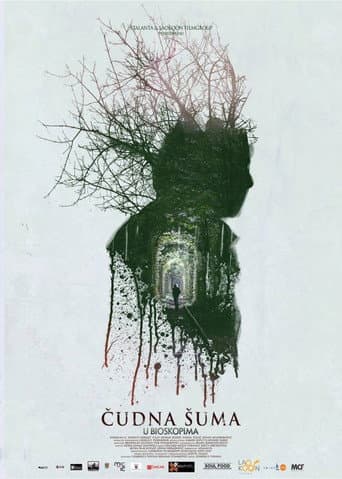 Strange Forest poster