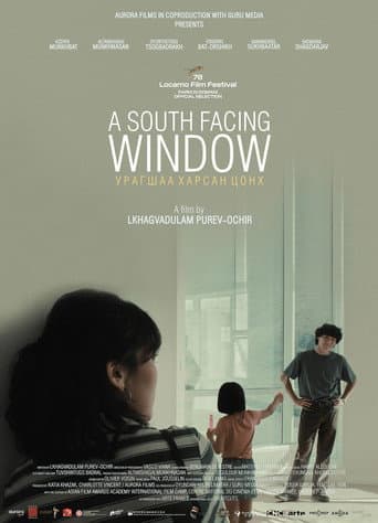 A South Facing Window poster