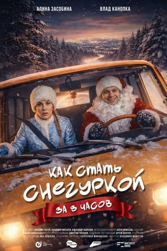 How to Become a Snow Maiden in 8 Hours poster