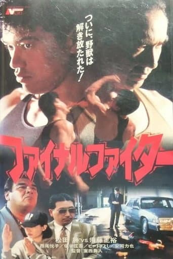 Final Fighter poster