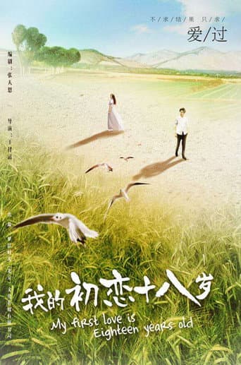 我的初恋十八岁 poster