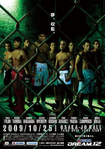 DREAM 12 poster