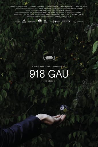 918 Nights poster