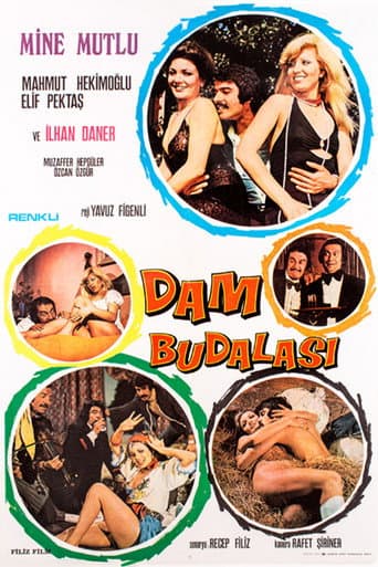 Dam Budalası poster