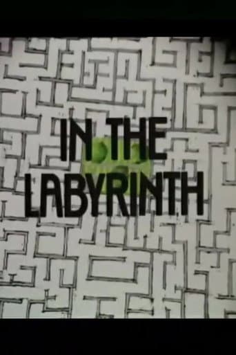 In the Labyrinth poster
