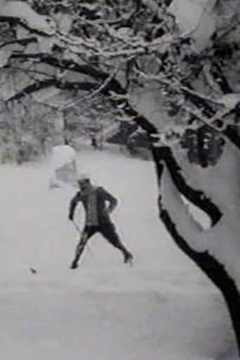 Max Skiing poster