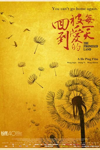 The Promised Land poster
