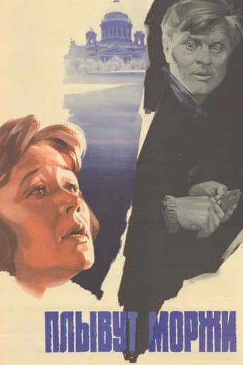 Walruses Are Swimming poster
