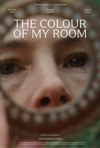 The Colour of My Room poster