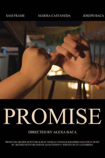 Promise poster