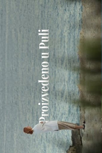 Made in Pula poster