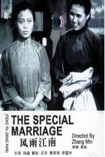 The Special Marriage poster