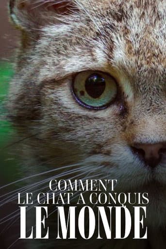 Comment le chat a conquis le monde poster