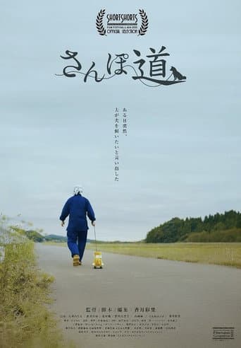 A Walk with You poster