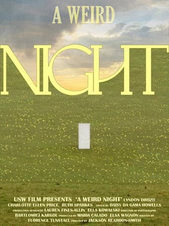 A Weird Night poster
