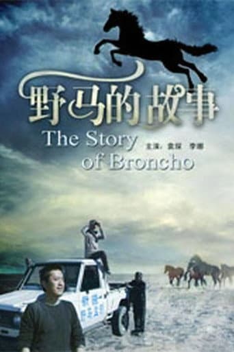 野马的故事 poster