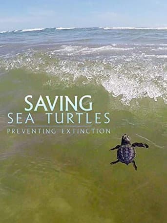 Saving Sea Turtles: Preventing Extinction poster