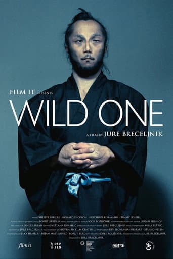 Wild One poster