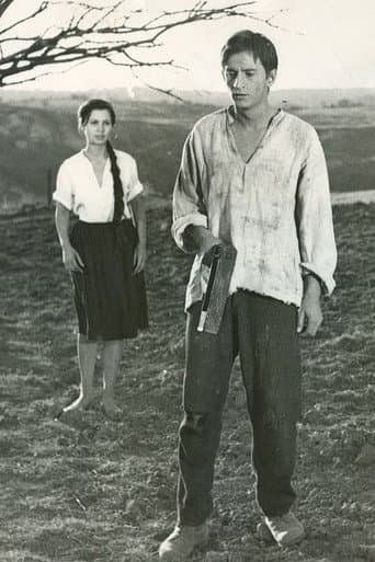 Comoara din Vadul Vechi poster