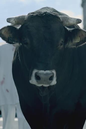 The Bull poster