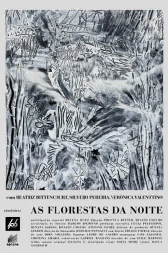As Florestas da Noite poster