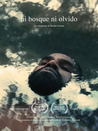 Neither forest nor oblivion poster