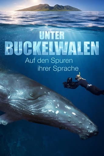 Among Humpback Whales poster