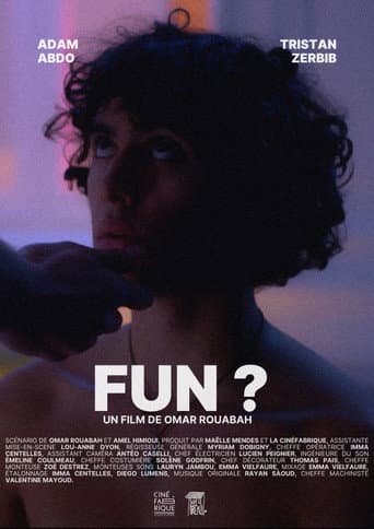 Fun? poster