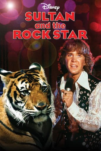 Sultan and the Rock Star poster