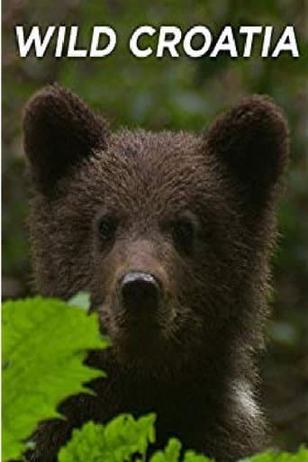 Wild Croatia poster