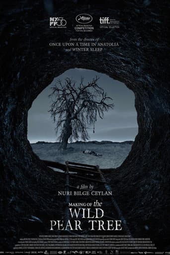 Making of The Wild Pear Tree poster