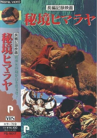 Mystery of the Himalayas poster