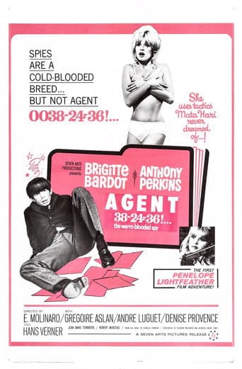 Agent 38-24-36 poster